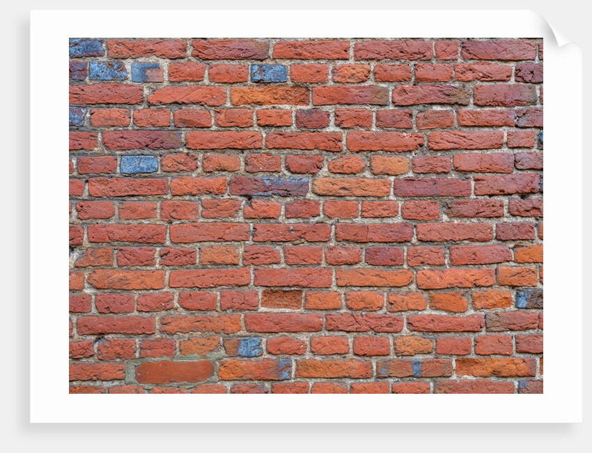 Brickwall by Assaf Frank